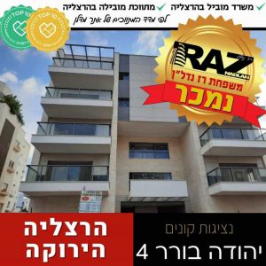 נמכר! יהודה הבורר 4, הירוקה המערבית (נציגות קונים)