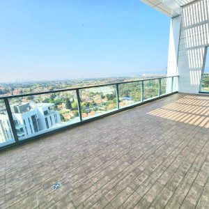 פנטהאוז יוקרתי בפרוייקט חדש 168 מ"ר בנוי + מ.שמש 40 מ"ר, פרוייקט הגפן