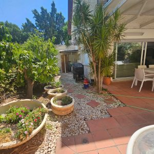 למכירה בבלעדיות, קוטג' עם 4 חדרי שינה מרווחים בקומת מגורים, הרצליה הצעירה